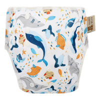 Zwemluier | Sea Animals