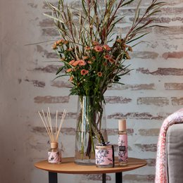 Scented Sticks Mikado Diffuser | Duft af mandelblomster | Recuerdos entre Almendros | 100 ml/3,38 fl.oz