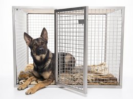 Large square dog bed with metal wire frame, suitable for large breed dogs.