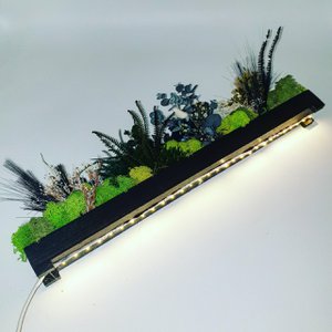 Stabilisierte Gemüsestange 50cm LED