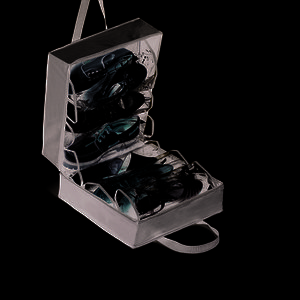 Rayen schoenenopbergkoffer | Geschikt voor 6 paar | 35×32×17cm | Zwart