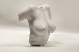 Marble statue of the Venus of Berlin, a classical nude female figure with an abstract, minimalist style.