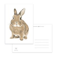 Postcard Brown Rabbit
