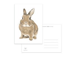 A postcard featuring a brown rabbit with large ears and a friendly expression.