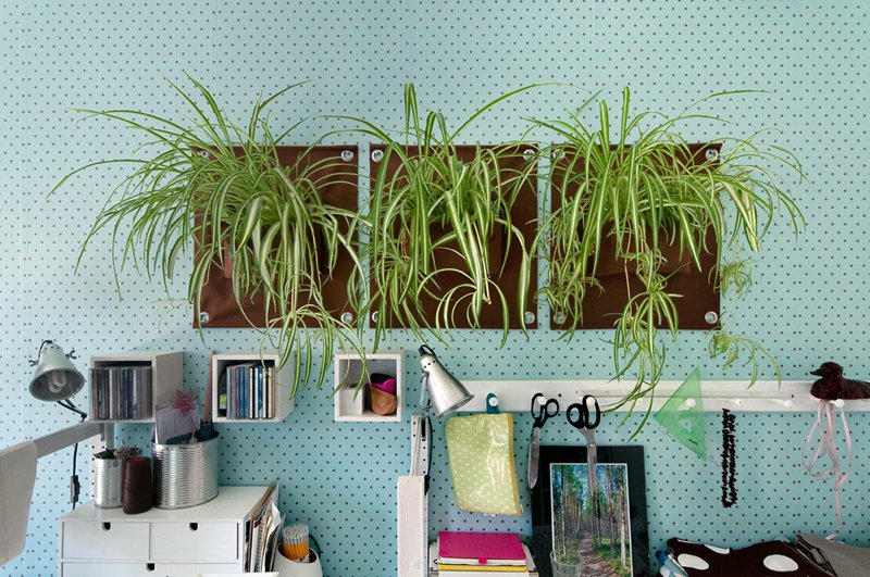 Le Green PocketsÂ® AMMA Arancio