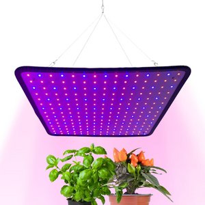 Groeilamp LED - voor de groei - 30 x 30 cm
