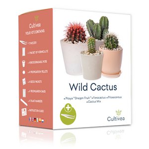 CULTIVEA® Mini Ready to Grow Kaktus-Set – 100 % ökologische französische Samen – Garten und Dekoration – Geschenkidee (Pitaya „Drachenfrucht“, Ferocactus, Pilosocereus und Kaktusmischung) – Hergestellt in Frankreich