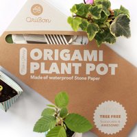 3 OriBon-Classic collection