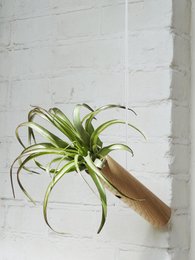 Hanging Cylinder - Light Oak