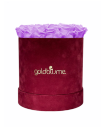 Velvet Bordeaux Collection