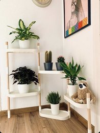 Plantehylder 6 bakker