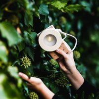 Flashlight - Natural