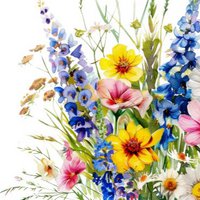 Nachhaltige Karte – Rittersporn