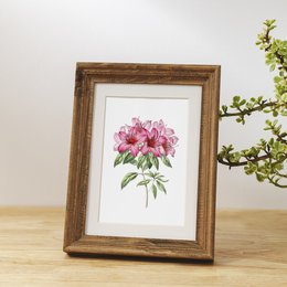 Vintage botanical art print featuring a vibrant pink floral illustration in a rustic wooden frame. Suitable for wall decor in a variety of room styles.