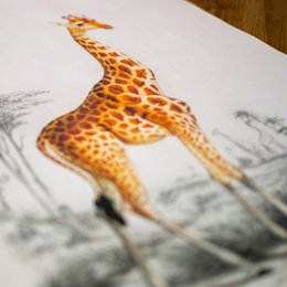 Tekstilplakat med lædersnor - Illustration Giraffe D'Orbigny 65x45 cm - vægdug