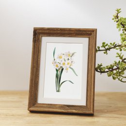 Botaniczny Art Print Mix x16 | Vintage ilustracja kwiat | Dekoracje ścienne