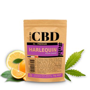 Harlequin XL CBD Bloemen