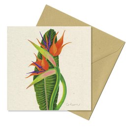 Eco-friendly tropical flower strelitzia card featuring vibrant colors and a unique floral design. Suitable for various occasions.