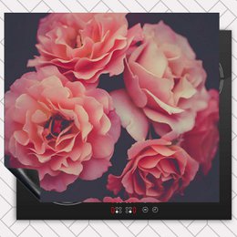  Pink roses close-up floral induction cooktop protector placemat dark background