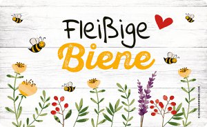 Brettch "Busy bee" VE 6