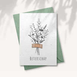 Seed paper greeting card with floral illustration and text "Beterschap" (Get well soon) in a terracotta pot with seeds inside.