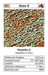 Quartett "Seuchen 2" - jetzt mit aktueller COVID-19 Zusatzkarte