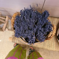 Lavender Dried Flowers