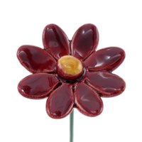 Madeliefje Rood klein 3,5 cm