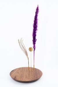 Vaasje Astrid Notelaar