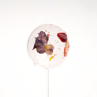 Sugar-free lollipop with freeze-dried wild strawberries and pantsy blooms