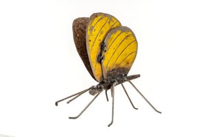 ZIMBA-ARTS METALLGELBER SCHMETTERLING STEHENd