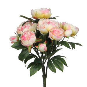 Bouquet of Peony Light Pink