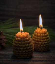 Candele della foresta di cera d'api