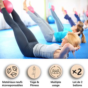 Set of 2 Yoga and Fitness Balls Size 25 cm Pink and Gray - Suitable for Children and Adults - Resistant and Multipurpose