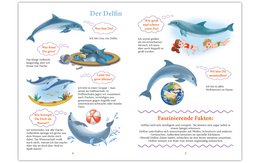 "WiBuKi" knowledge book for children: The underwater world - lots of things about animals that live in the depths of the oceans - for children from 3 years
