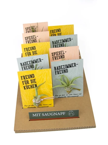 Plantenvriend met een luchtplant -productie Cup & kaart -9 -Set -German