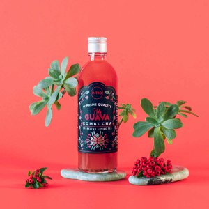 Holy Guava Kombucha 0,33L