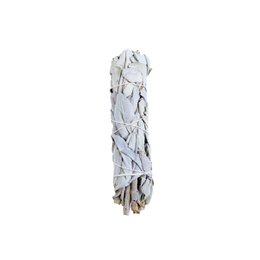 Ritual Smudge Kit