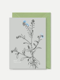 Greeting card with delicate blue forget-me-not flowers on a gray background, accompanied by a green envelope.