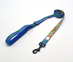 Hondenriem Exotische Meloenen