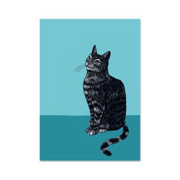 Poster A4 kat