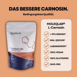 Carnosin Pulver