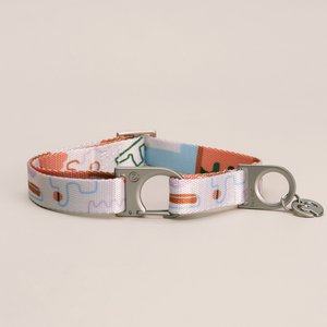 Matteo Hundehalsband