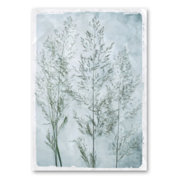 Grass on a blue background, wall art with various size options available.