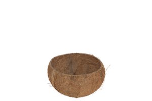 J-Line ball Half Coconut Brut - bamboo - natural
