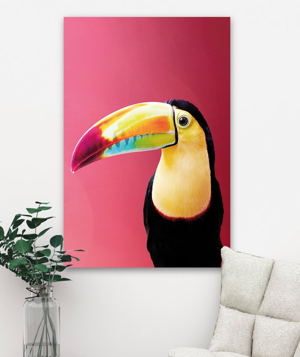 Toucan