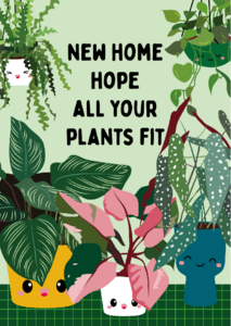 Pflanzen neues Zuhause