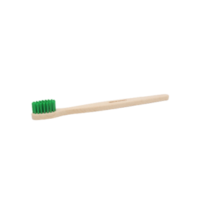 Beech wood adult toothbrush