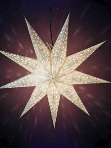 Papierstern  Silberblüte  9 Zack 60cm