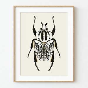Witte kever Art Print